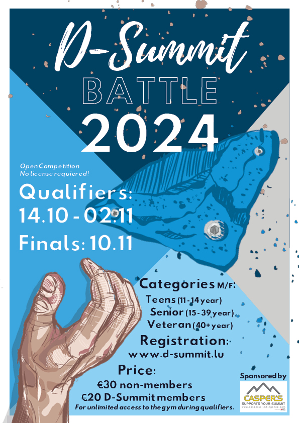 Poster für Dsummit Battle 2024